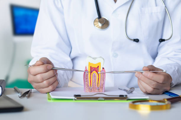 Best Chipped Tooth Repair Near Me  in Lincoln, NE